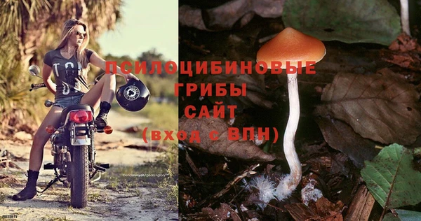 не бодяженный Липки