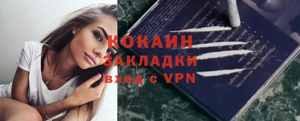 шишки Кулебаки