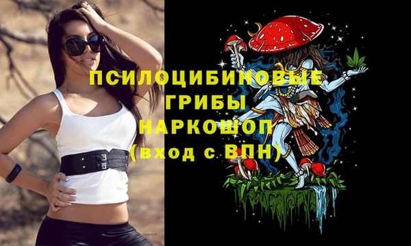 дурь Лиски