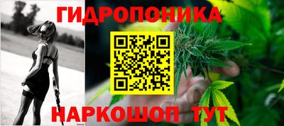 дмт Кинель