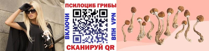 Псилоцибиновые грибы мицелий Кумертау