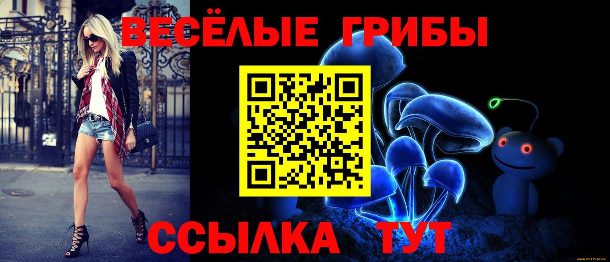 Псилоцибиновые грибы Psilocybe  Галлюциногенные грибы ЛСД  Вход с VPN  Кумертау 